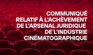 COMMUNIQUÉ RELATIF À L'ACHÈVEMENT DE L'ARSENAL JURIDIQUE DE L'INDUSTRIE CINÉMATOGRAPHIQUE